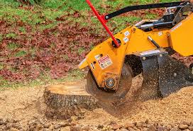 Reliable Trenton, MI  Tree Services Solutions